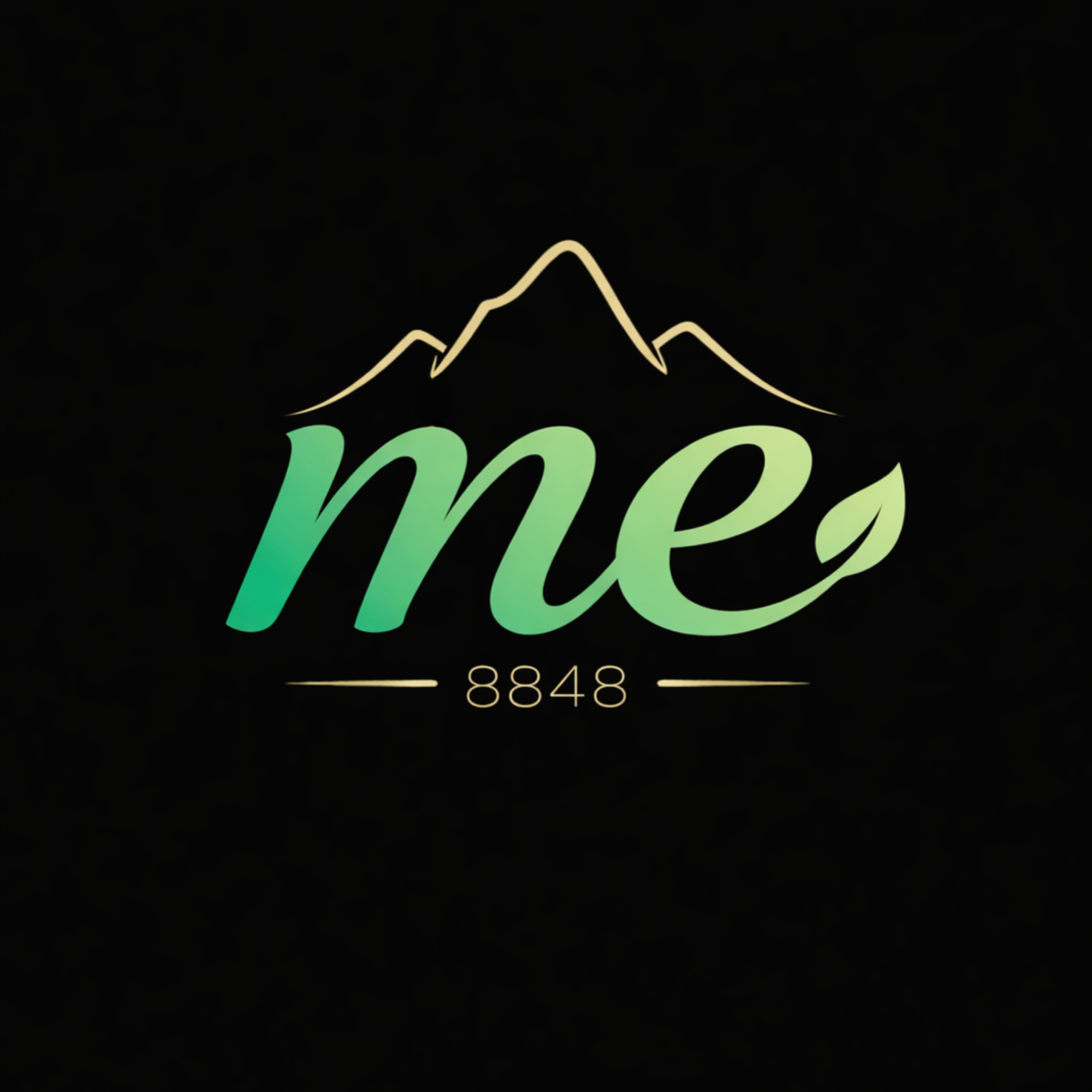 ME 8848